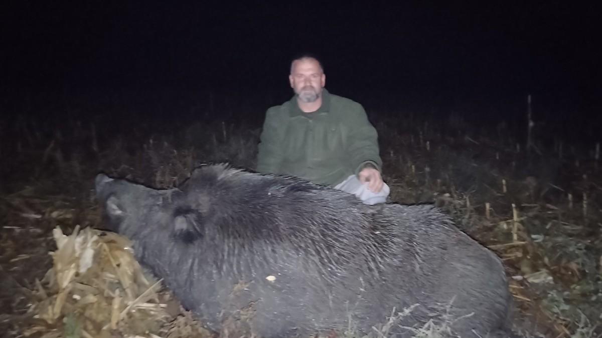 (foto)-pala-grdosija-od-300-kilograma!-lovac-dejan-u-mraku-nanisanio-sumsku-neman-sa-130-metara,-a-kad-joj-je-prisao-nikom-nije-bilo-svejedno (foto)-pala-grdosija-od-300-kilograma!-lovac-dejan-u-mraku-nanisanio-sumsku-neman-sa-130-metara,-a-kad-joj-je-prisao-nikom-nije-bilo-svejedno