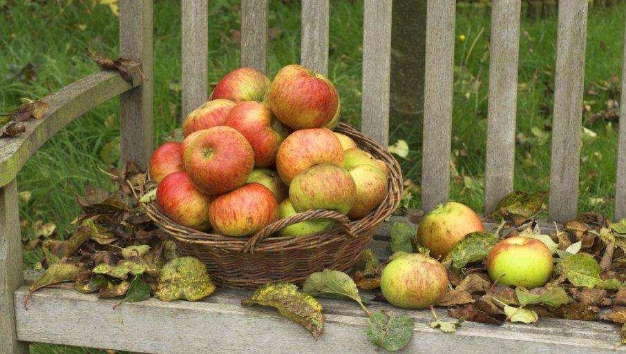 ovo-muci-proizvodace-jabuka:-jedna-od-rodnijih-godina-u-domacem-vocarstvu,-ali-sa-jabukama-–-teska-situacija ovo-muci-proizvodace-jabuka:-jedna-od-rodnijih-godina-u-domacem-vocarstvu,-ali-sa-jabukama-–-teska-situacija