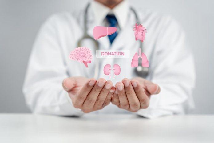 “jovane,-hvala-ti,-moja-nina-zbog-tebe-ima-tatu!”-dirljiva-ispovest-mladena-kojem-je-nova-jetra-spasla-zivot:-danas-slavim-10-godina-od-transplantacije!-(foto)