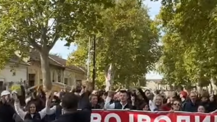 pristalice-i-simpatizeri-iz-backe-palanke-idu-peske-na-miting-sns-u-novom-sadu-(video)