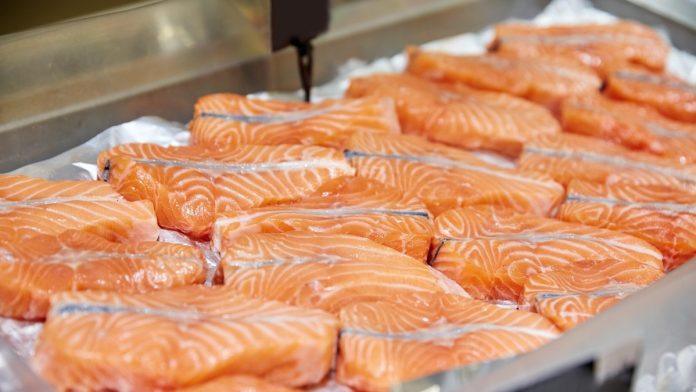 sta-zapravo-jedu-lososi-koje-kupujemo?-evropski-proizvodaci-uvode-piletinu-u-ishranu-ribe,-a-na-pakovanju-to-ne-mora-da-pise