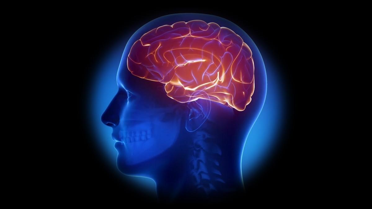 alkohol-ne-ostecuje-samo-neurone:-nova-studija-pokazala-da-cak-i-kratkotrajno-opijanje-menja-strukturu-mozdanog-tkiva alkohol-ne-ostecuje-samo-neurone:-nova-studija-pokazala-da-cak-i-kratkotrajno-opijanje-menja-strukturu-mozdanog-tkiva
