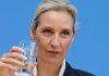 AFD SPREMA VELIKI PREOKRET U EU Evo šta predlažu za evropske institucije afd-sprema-veliki-preokret-u-eu-evo-sta-predlazu-za-evropske-institucije