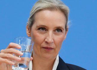 AFD SPREMA VELIKI PREOKRET U EU Evo šta predlažu za evropske institucije afd-sprema-veliki-preokret-u-eu-evo-sta-predlazu-za-evropske-institucije