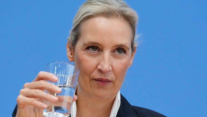 afd-sprema-veliki-preokret-u-eu-evo-sta-predlazu-za-evropske-institucije