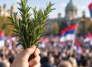 ZAŠTO SE “RUZMARIN” ORI NA SKUPOVIMA? Pesma Merime Njegomir posle 33 godine dobila novo značenje zasto-se-“ruzmarin”-ori-na-skupovima?-pesma-merime-njegomir-posle-33-godine-dobila-novo-znacenje