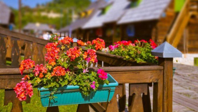 drzava-ulaze-milione-u-seoski-turizam:-najbrze-rastuca-i-najprofitabilnija-grana-srpske-privrede