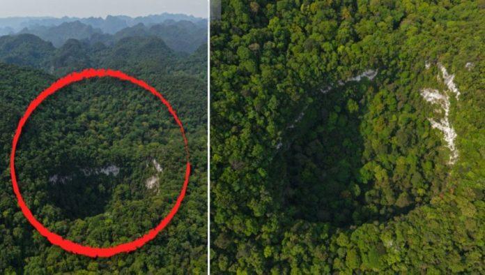 neverovatno:-nasli-rupu-u-zemlji,-spustili-se-120m-i-otkrili-novi-svet-–-ogromnu-prasumu!-otvor-bio-sirok-190-metara,-a-na-dnu-i-skeleti